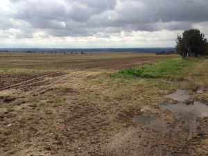 Sachsen-Anhalt, auf dem Weg nach Merseburg/Halle