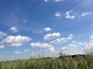 Aber erst noch die schöne Landschaft genießen