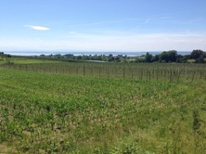 Bodensee-Hinterland