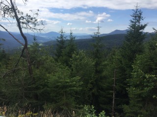 Ausblick von der Hindenburgkanzel