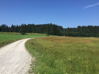 Unterwegs auf der Königsstraße Richtung Allgäu